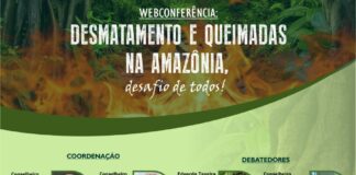 Webconferência “Desmatamento e queimadas na Amazônia: desafio de todos!”