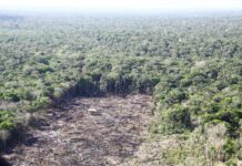 Desmatamento na Amazônia | Foto: INPE