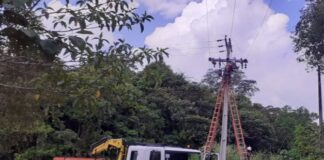 Amazonas Energia Ramal Cláudio Mesquita BR-174