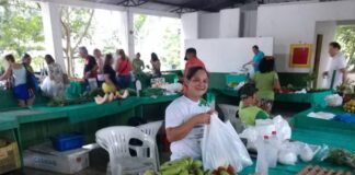 Sebrae/Am Feira de produtos orgânicos MAPA Amazonas