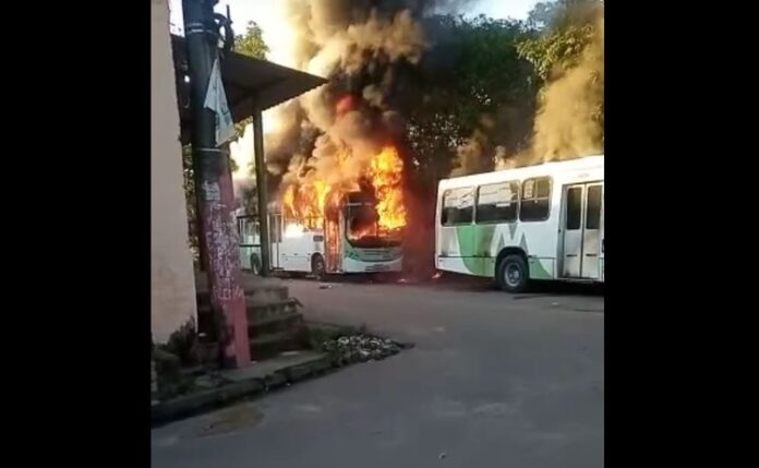 Segurança Amazonas Incendio Ônibus