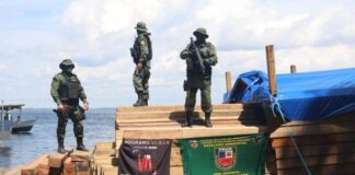 Batalhão Ambiental Madeira ilegal Amazonas