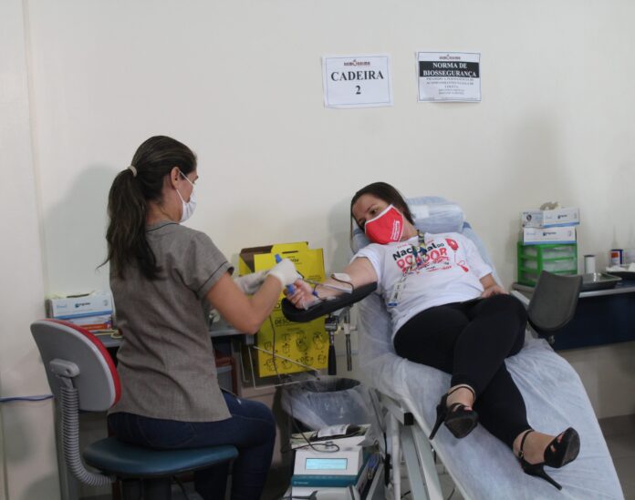 Homororaima - doação de sangue. Imagem: Ascom/Sesau