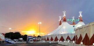 Amazonas Festival de Circo