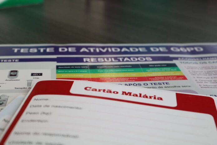 malária vivax SES-AM Governo do Amazonas FMT-HVD