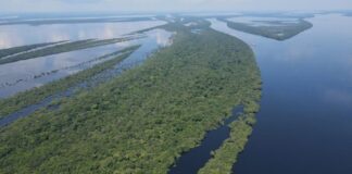 Amazonas emissões de gases de efeito estufa