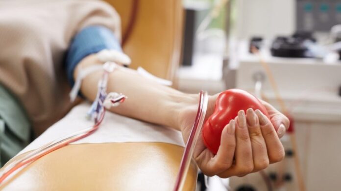 Hemoam Dia do Doador Voluntário de Sangue Hapvida