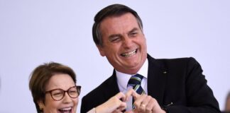 Jair Bolsonaro Braga Netto Tereza Cristina Eleições 2022