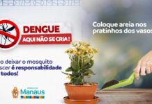 Dengue Prefeitura de Manaus