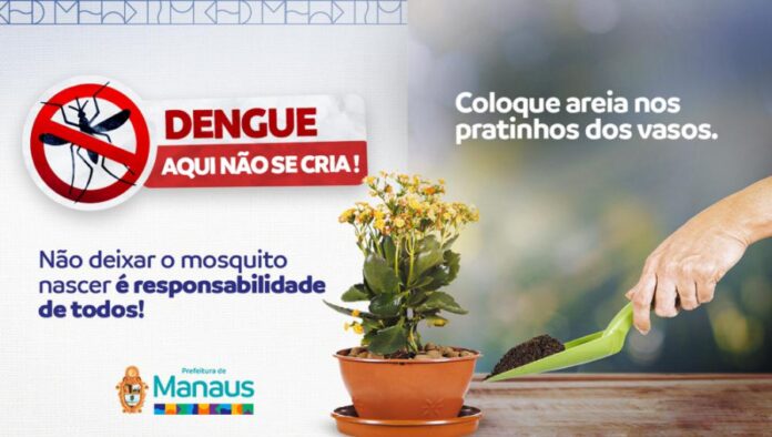 Dengue Prefeitura de Manaus