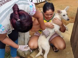 anitrabica anti rabica cães e gatos