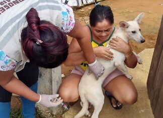 anitrabica anti rabica cães e gatos